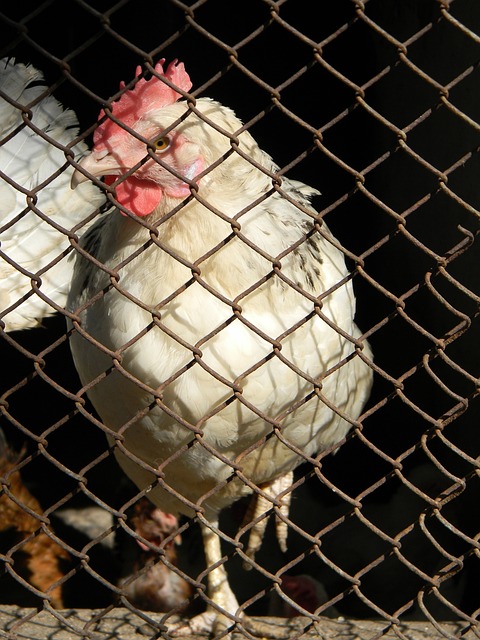 王哲林：新赛季首先要打好开局，希望常规赛有好的排名